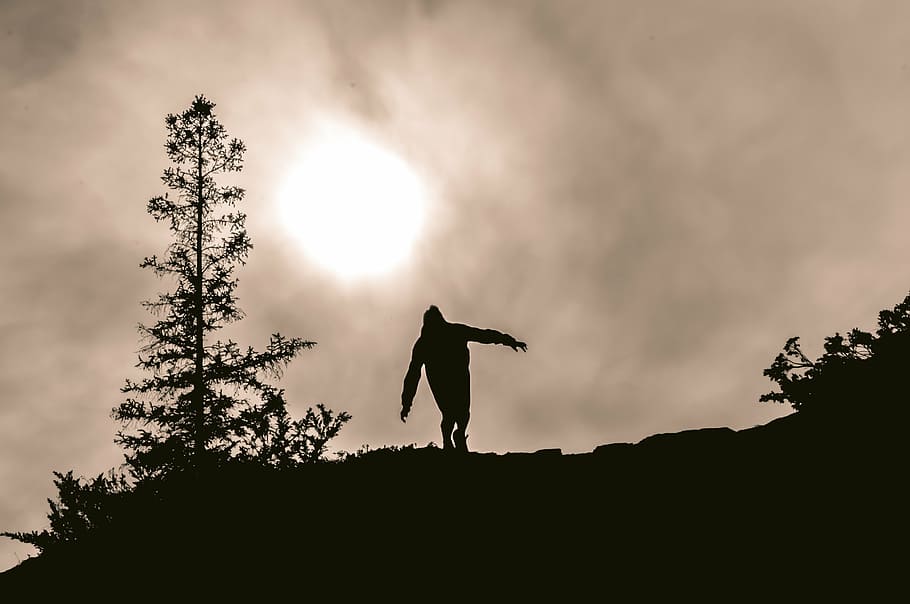 silhouette, person, mountain, leafed, tree, daytime, silhoutte, man, day, time