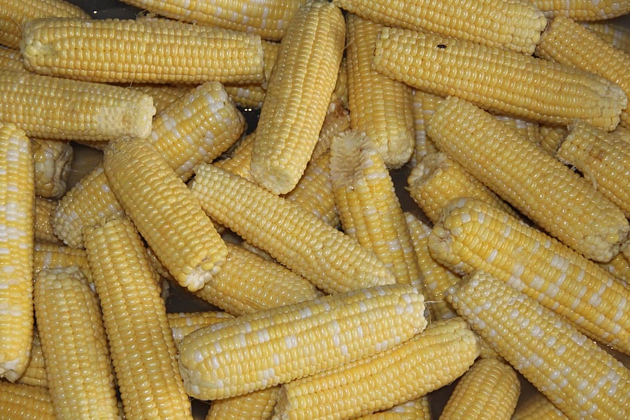 maíz, maíz dulce, conservas, zing, comida, alimentos y bebidas, vegetales, alimentos, fondos, alimentación saludable