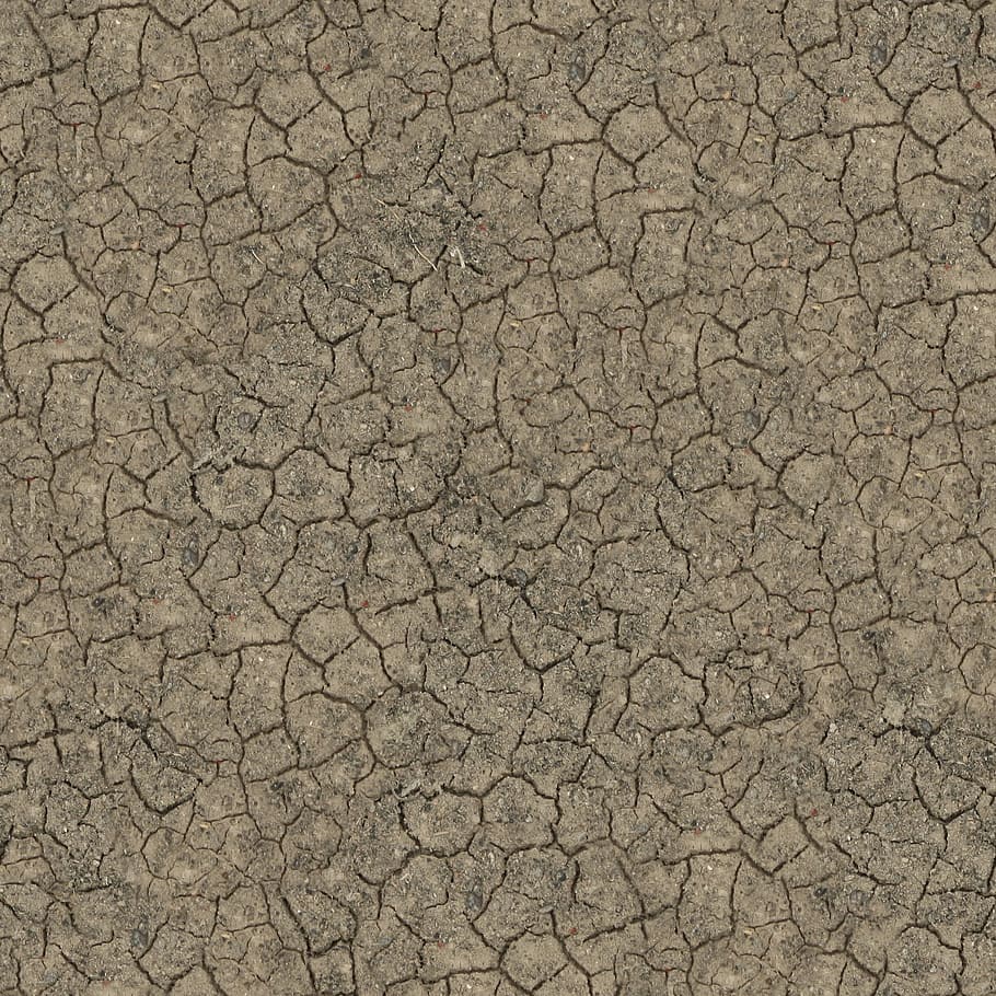solo marrom, Sem costura, Textura, Chão, tileable, terra, rachaduras, rachado, crackled, solo
