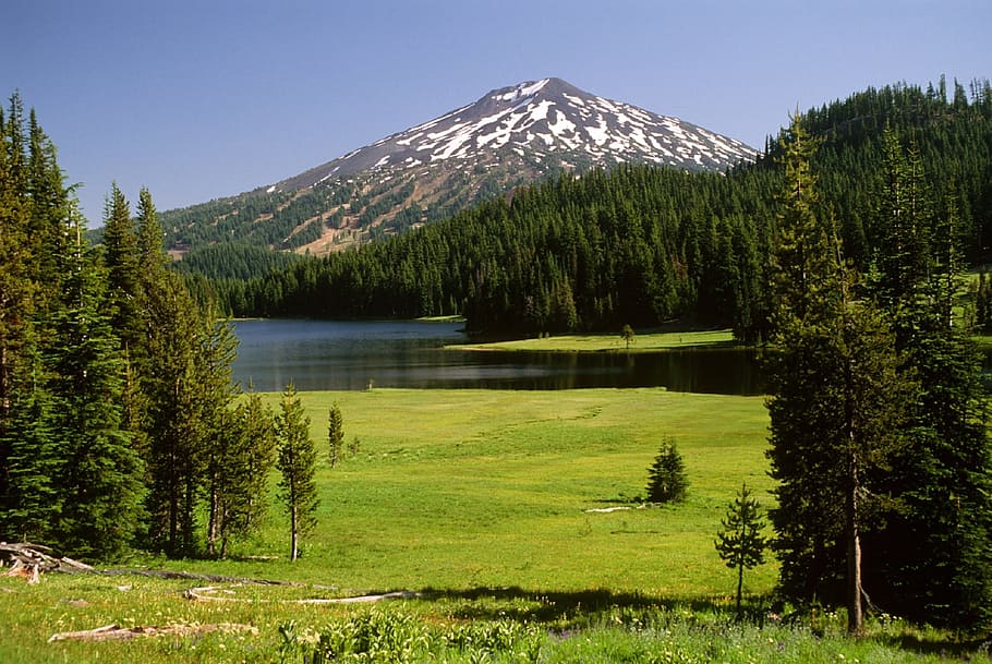 Meadow, Landscape, Mount Bachelor, stratovolcano, scenic, green, countryside, deschutes national forest, oregon, usa
