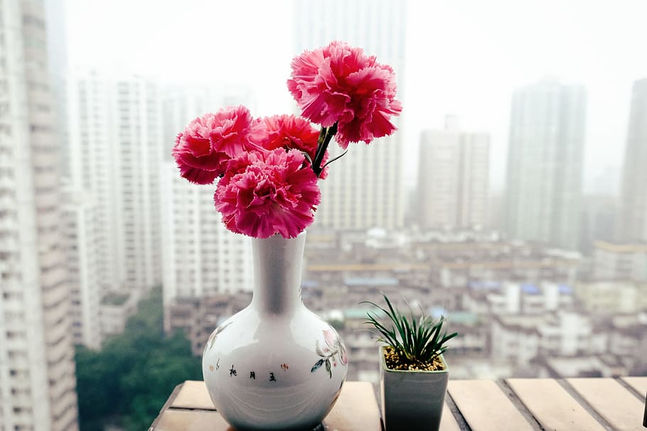Flower, Still Life, Plant, Color, plant, color, vase, table, city, skyscraper, window