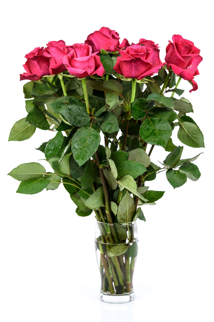 red, roses, glass vase, red roses, glass, vase, flower, gift, love, beauty