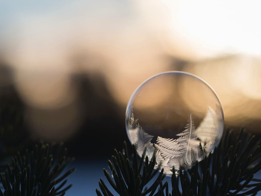 ball, pine trees, feather, dream, catcher, nature, leaves, dream catcher, bokeh, outdoors