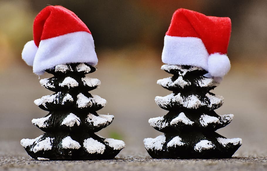 two, black-and-white, tree ornaments, hats, christmas, firs, trees, funny, santa hat, christmas time
