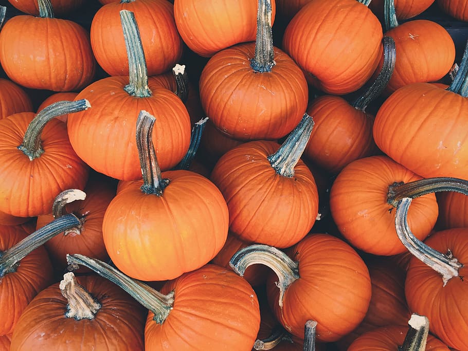 orange, pumpkins, halloween, farm, food, vegetable, food and drink, wellbeing, pumpkin, market