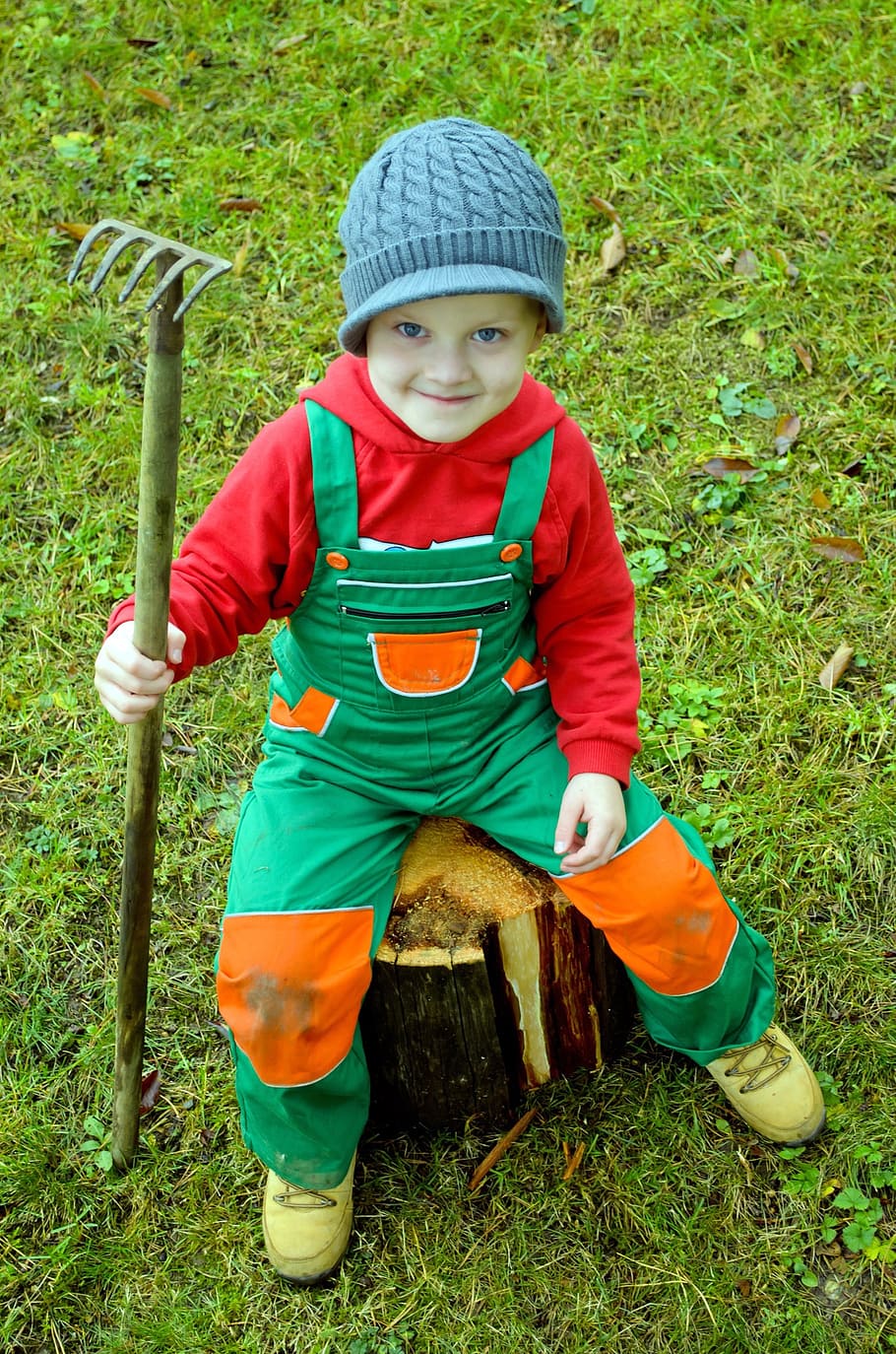 boy, sitting, tree stump, holding, rake, small, gardener, garden, clothing, dress
