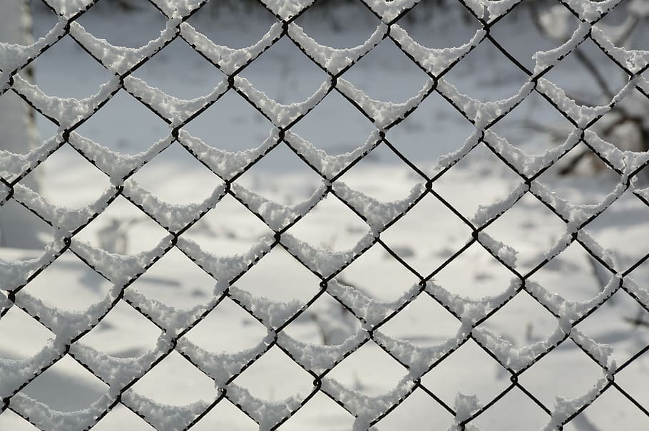 snowy, snow, winter, white, fence, frost, cold, grid, january, wintery