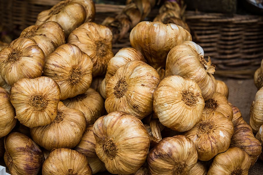 garlic, roasted garlic, ten, cloves of garlic, roast, herbs, tubers, food, food and drink, freshness