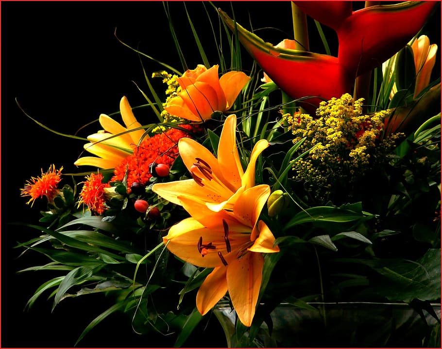 variedad, centro de mesa de flores, primer plano, foto, ramo de flores, flores, ramo, rojo, planta ornamental, flora