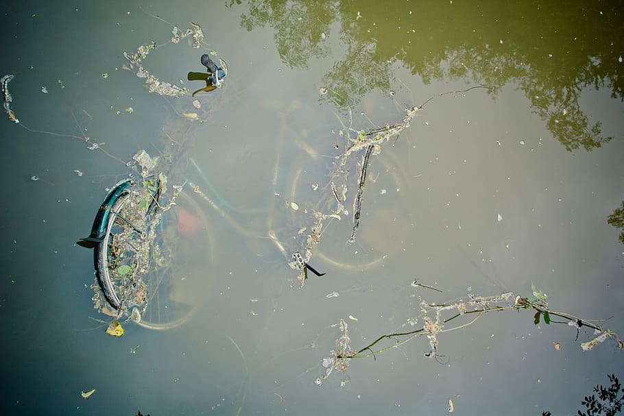 blue, bicycle, body, water, bike, river, absorbed, münster, aa, sunk