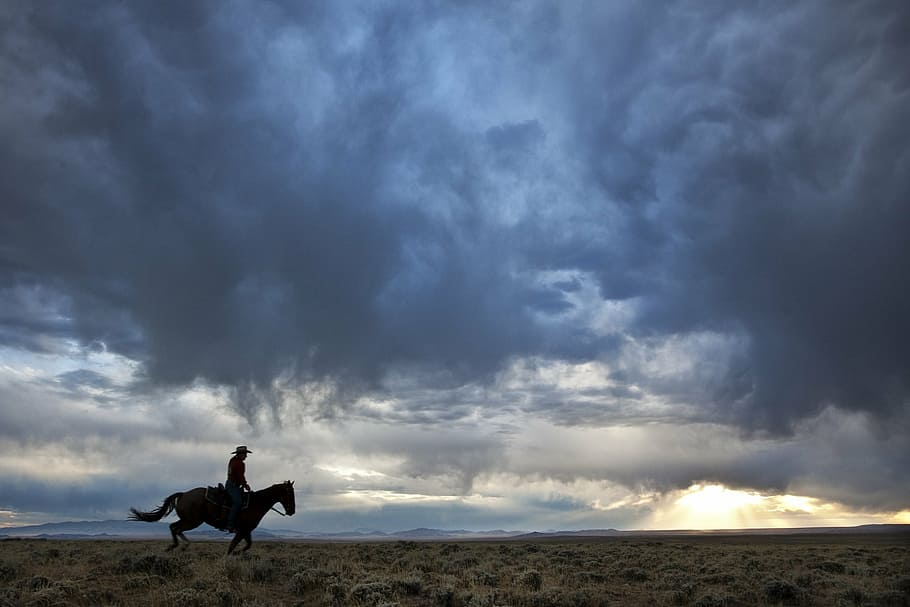 silhouette, person, riding, horse, cloudy, sky, daytime, cowboy, horseback, west