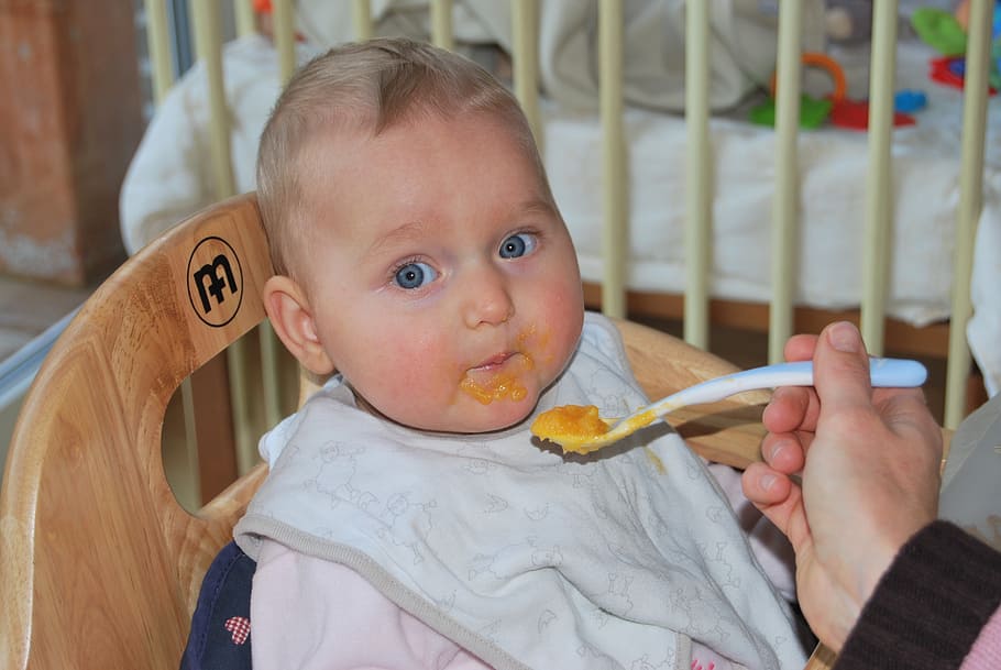 person, feeding, baby, sitting, chair, people, food, child, vegetable pap, sage
