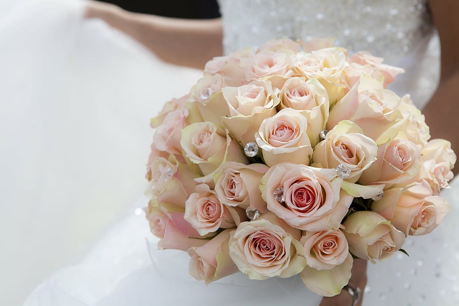 wanita, mengenakan, putih, gaun pengantin, membawa, pink, mawar, karangan bunga, bunga, daun bunga