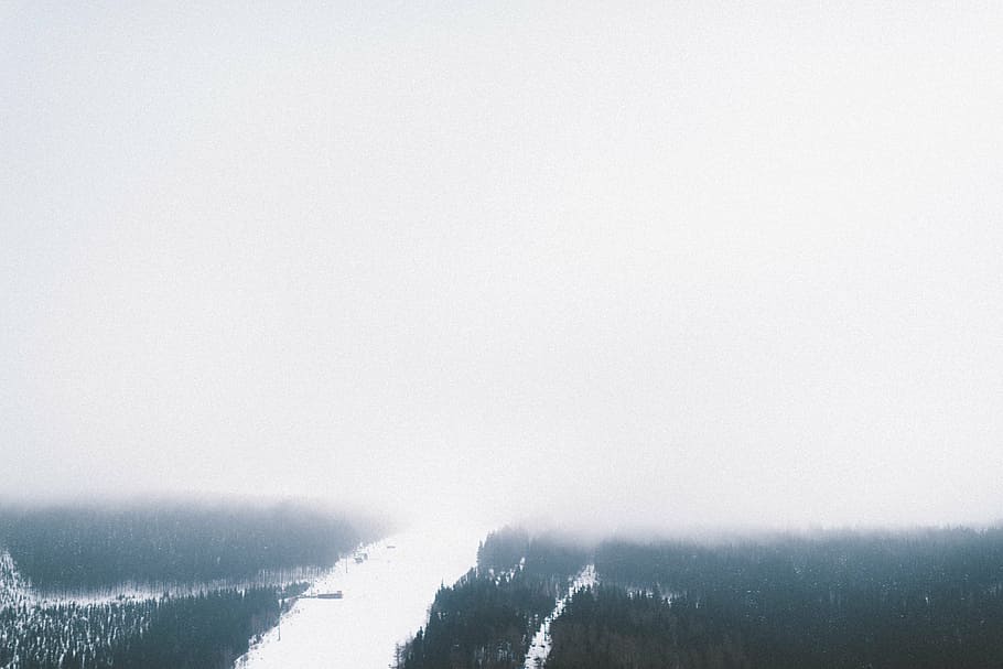 aerial, photography, pine tree forest, nature, landscape, snow, winter, cold, weather, white