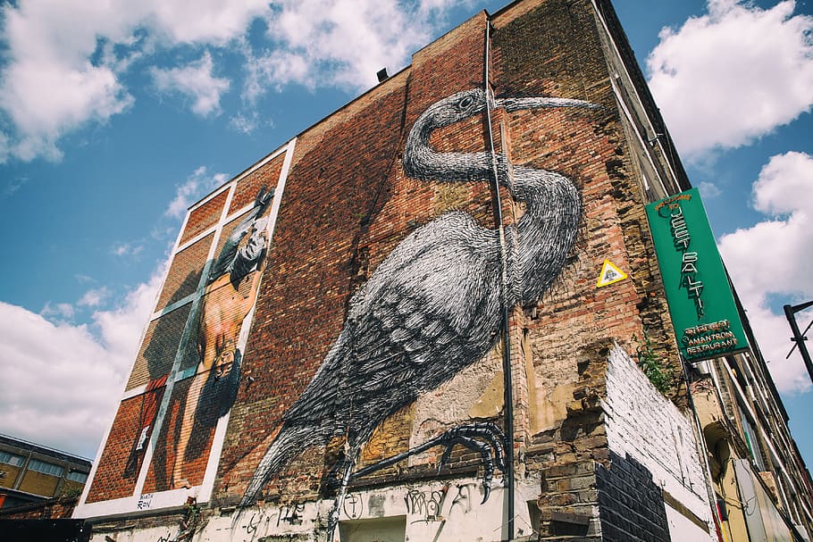 pássaro de arte de rua, lado, construção, leste, londres, tiro, pássaro, leste de londres, urbano, arte de rua
