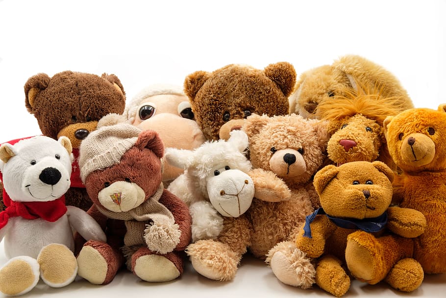 brown, bear, plush, toy lot, white, background, soft toys, stuffed animals, teddy bear, soft toy
