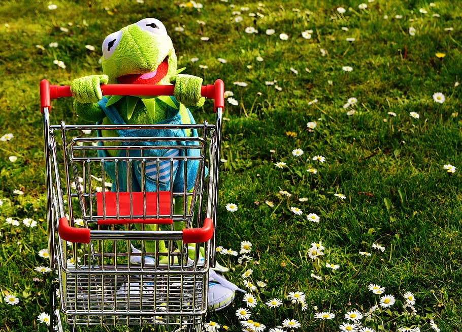 kermit, frog, holding, shopping cart, shopping, fun, soft toy, stuffed animal, funny, toys
