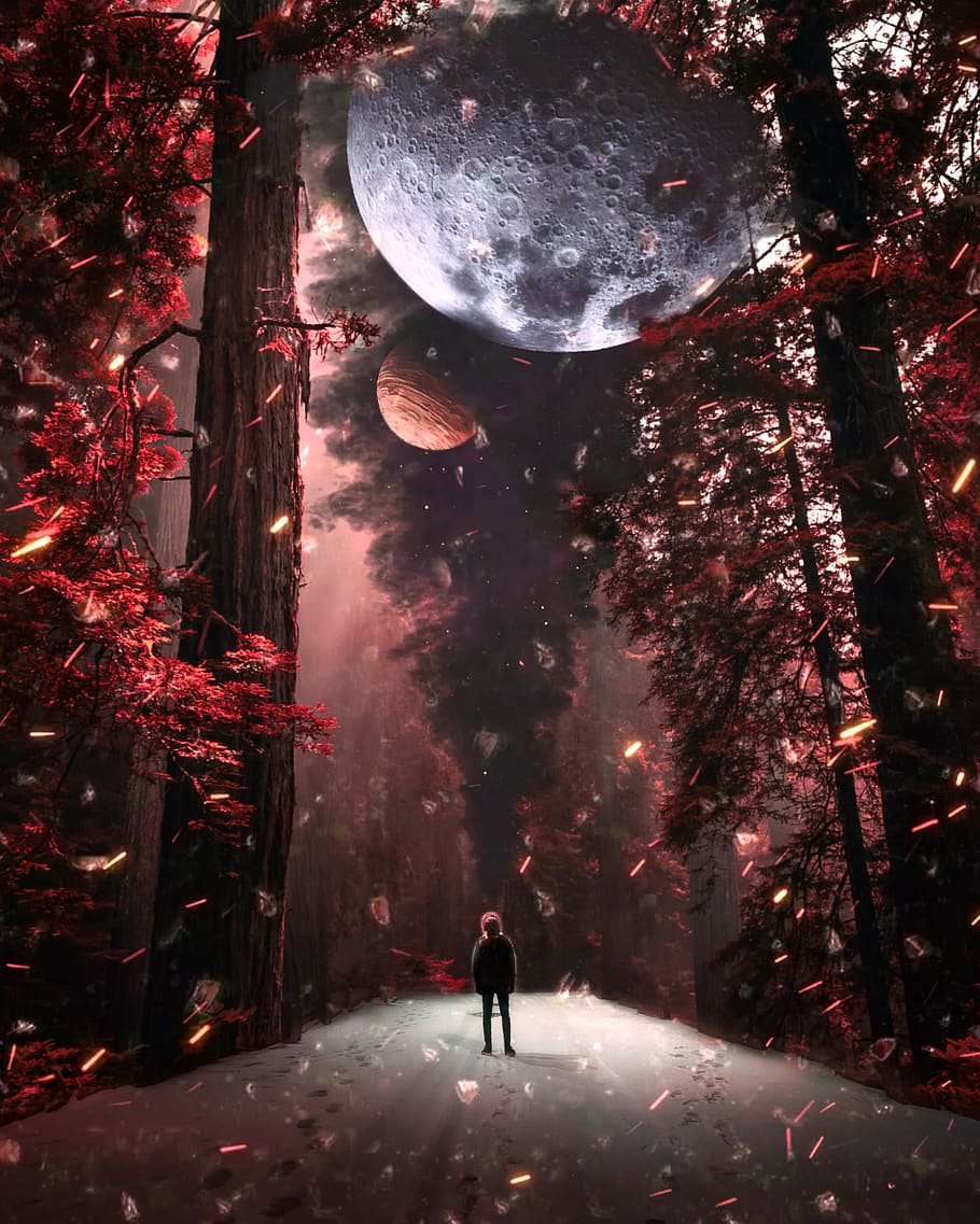 man, night, darkness, forest, red, trees, shop, glow, planet, cosmos