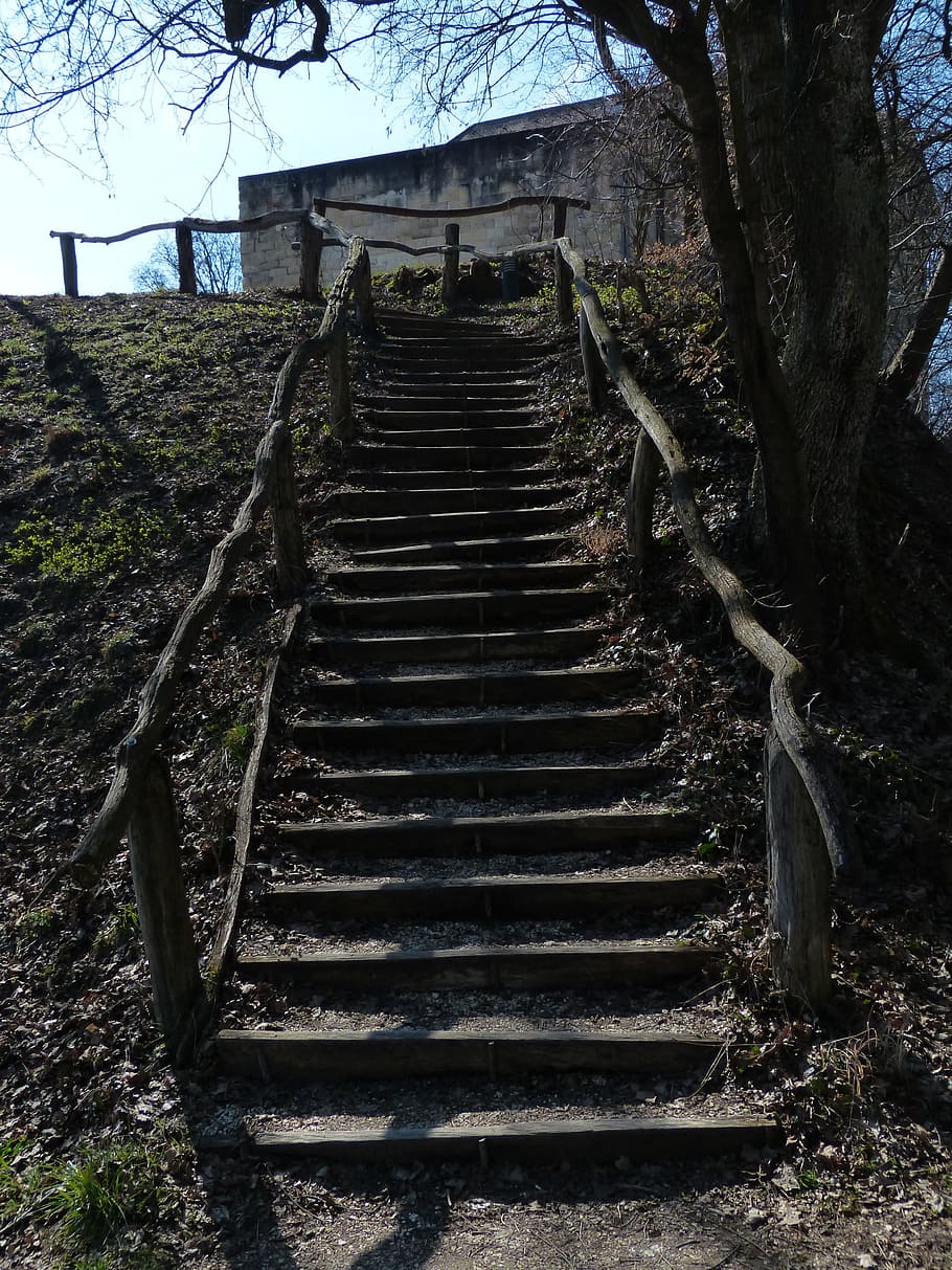 escaleras, madera, bosque, naturaleza, fuera, pasos naturales, escaleras de madera, escalera de piedra, barandilla, gradualmente