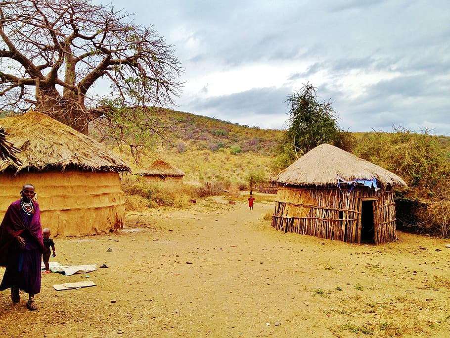 mujer, de pie, bungalow de mimbre, árboles, tierra de masai, tanzania, boma, áfrica, aldea, choza