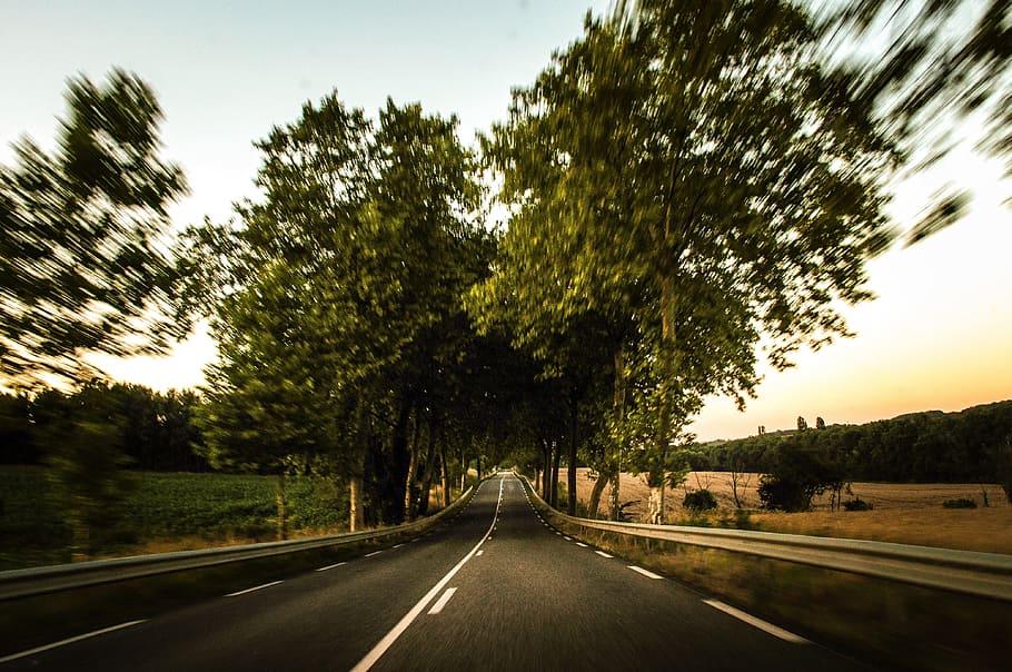gray, asphalt road, surrounded, trees, road, speed, motion, transportation, highway, way