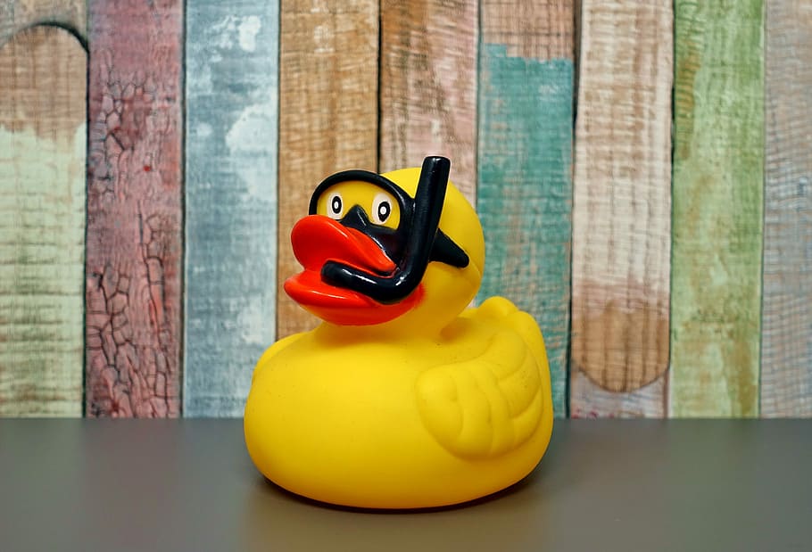 yellow duck figurine, rubber duck, divers, quietscheente, yellow, toys, squeak duck, bath duck, summer, funny