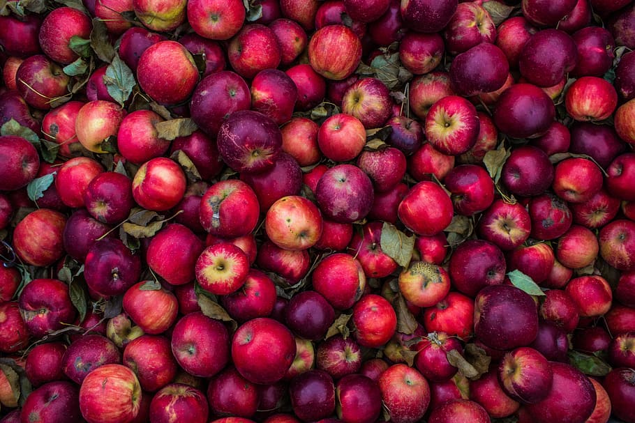 púrpura, rojo, lote de manzanas, agricultura, manzanas, alimentos, frutas, salud, saludable, jugosa