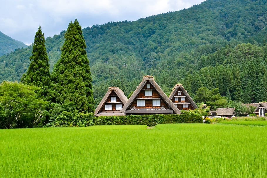 brown, house, mountain peak, japan, landscape, japanese, landmark, mountain, tree, tourism