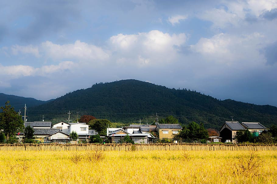 shrine, mountain, japan, sky, architecture, built structure, cloud - sky, house, plant, building exterior