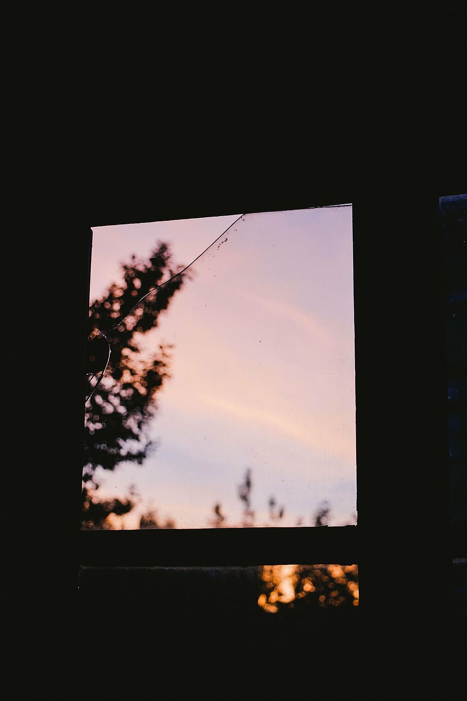 untitled, dark, room, window, glass, outside, view, tree, bokeh, sunset