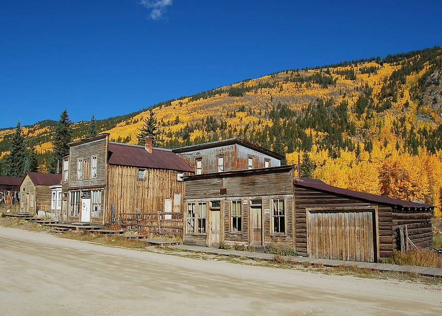marrom, de madeira, casa, situado, montanha, outono, Colorado, cidade fantasma, amarelo, ao ar livre