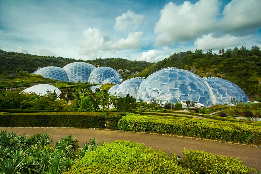 greenhouse, eden project, cornwall, sky, plant, cloud - sky, green color, nature, day, beauty in nature