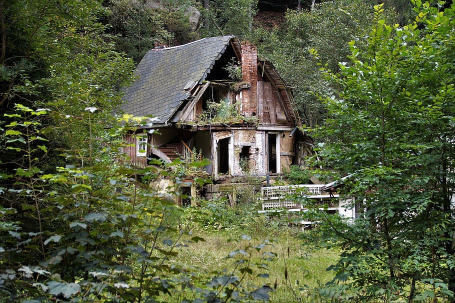 basket case, old house, pobořený, zbořenina, ruined house, overgrown, unkept, abandoned, built structure, architecture