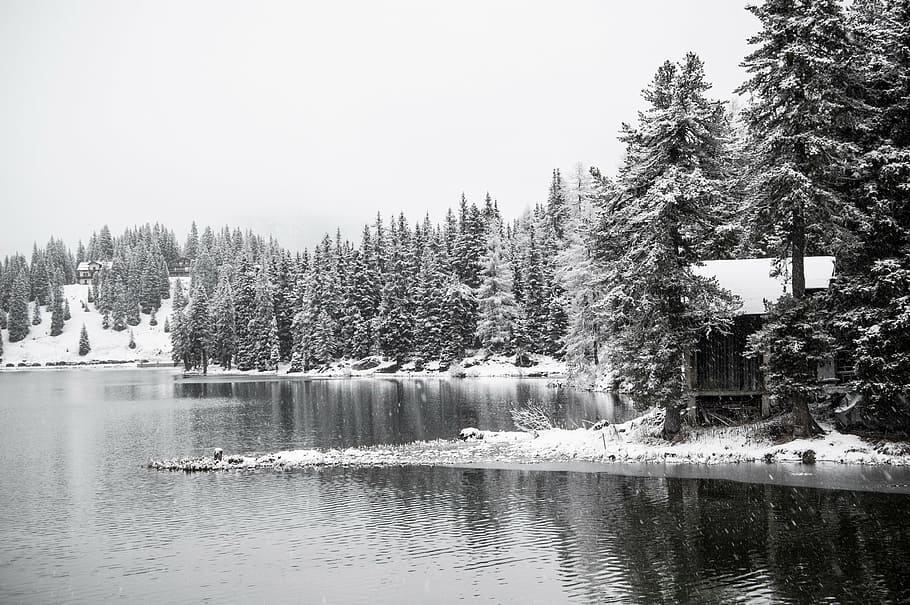lake misurina, snow, christmas, mountain, green, fir, ice, cold, winter, frost