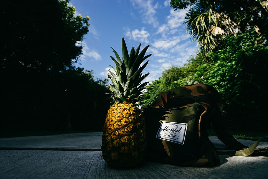 pineapple, herschel bag, ground, dessert, appetizer, fruit, juice, crop, road, bag
