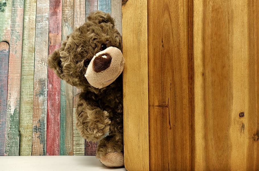 brown, bear, peeking, wooden, panel, teddy, teddy bear, soft toy, bears, stuffed animals