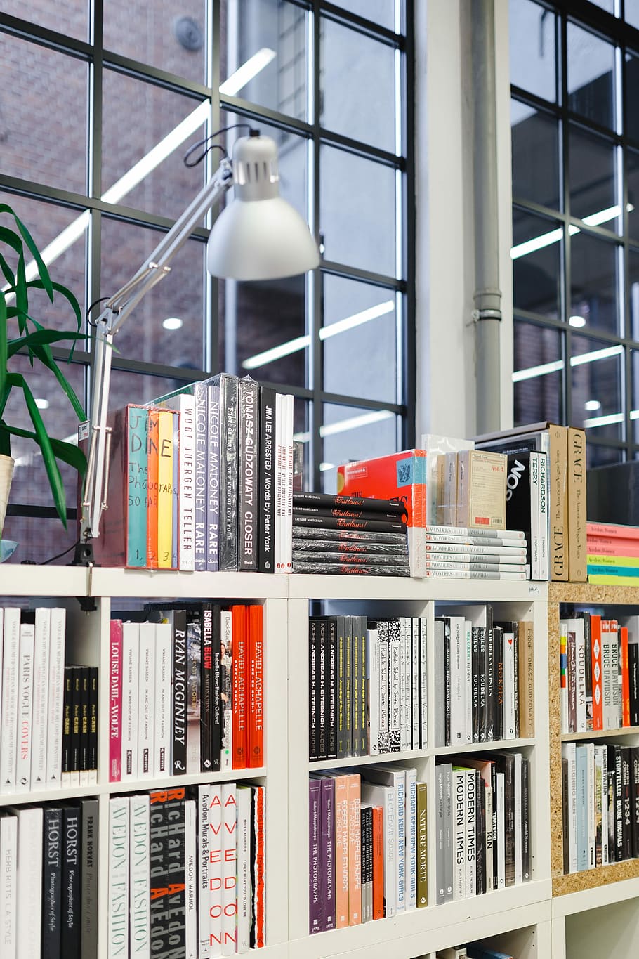 kunjungi, toko buku, buku, pengetahuan, perpustakaan, rak buku, rak, di dalam ruangan, pendidikan, sastra