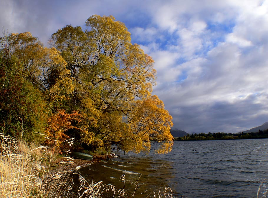 Lake Hayes, Otago, Autumn, body of water, leafed, tree, water, sky, beauty in nature, cloud - sky