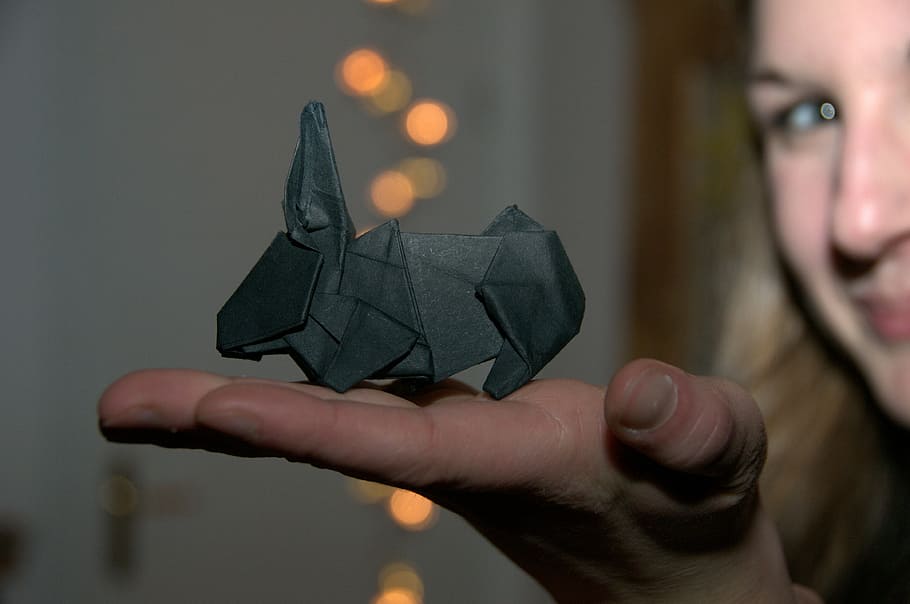 origami, rabbit, paper, fold, hand, hare, black, tinker, human hand, human body part