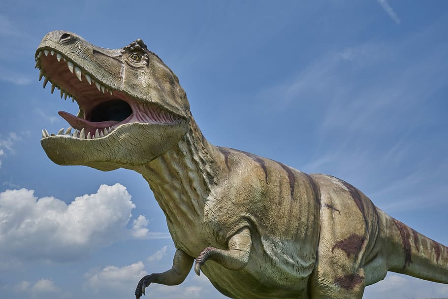estatua del tiranosaurio rex, dinosaurio, prehistórico, carnívoros, tiempos prehistóricos, t rex, tiranosaurio rex, dino, dinosaurios carnívoros, peligroso