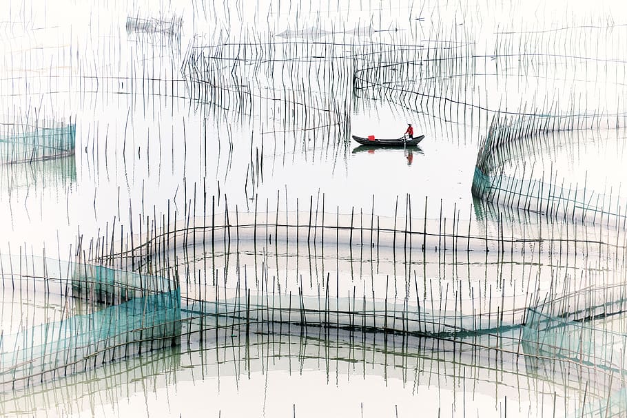 dibujo de estanque de peces, Xiapu, Ocho pies, Puertas, Paisaje, puertas de ocho pies, abstracto, azul, fondos, reflexión