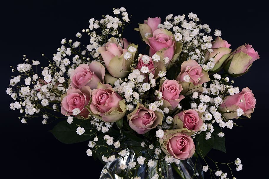 pink, rose, flower bouquet, pink Rose, roses, rose flower, flowers, white, gypsophila, flower