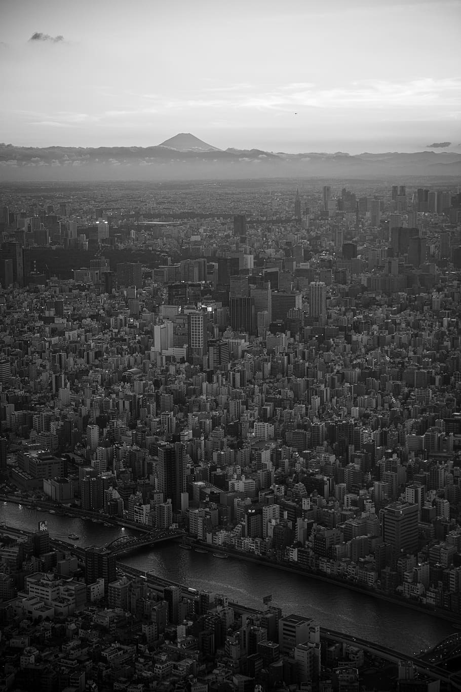 japan, tokyo, skytree, tower, landmark, urban, skyscraper, building, city, modern