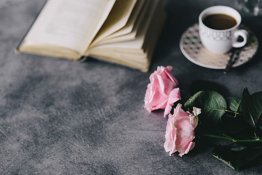 adorável, roseses, livro, café, rosa, rosas, interior, descansando, relaxar, essencial