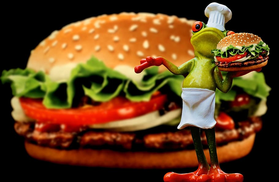 hamburger, cheeseburger, cooking, frog, funny, food, preparation, chef's hat, figure, sweet