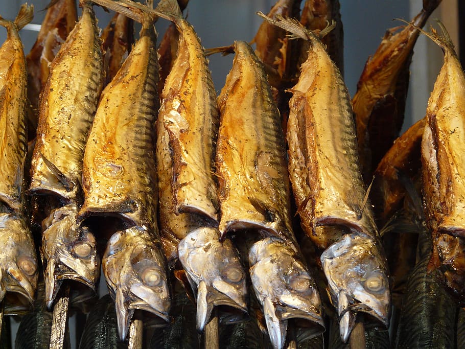 smoked fish, smoked mackerel, mackerel, on-a-stick fish, fish, trout, food, oven, smoking oven, smoking room