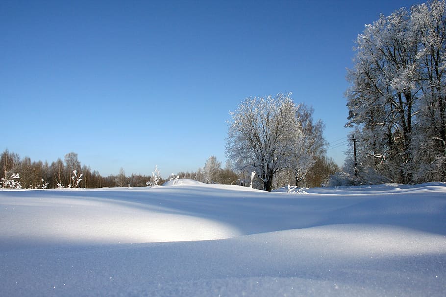 inverno russo, beleza, natureza, inverno, neve, vila, rússia, friamente, muito bom, passeio