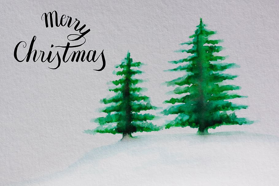 dois, verde, pintura de pinheiros, natal, mapa, árvore de natal, neve, aquarela, pintado, feito à mão