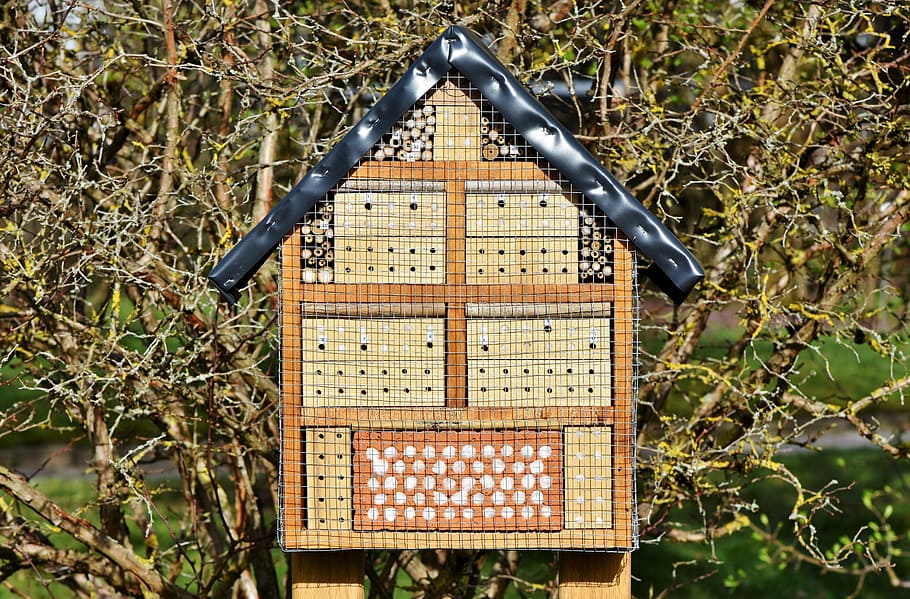 brown, black, wooden, birdhouse, twigs, daytime, insect hotel, insect house, insect box, insect protection measures