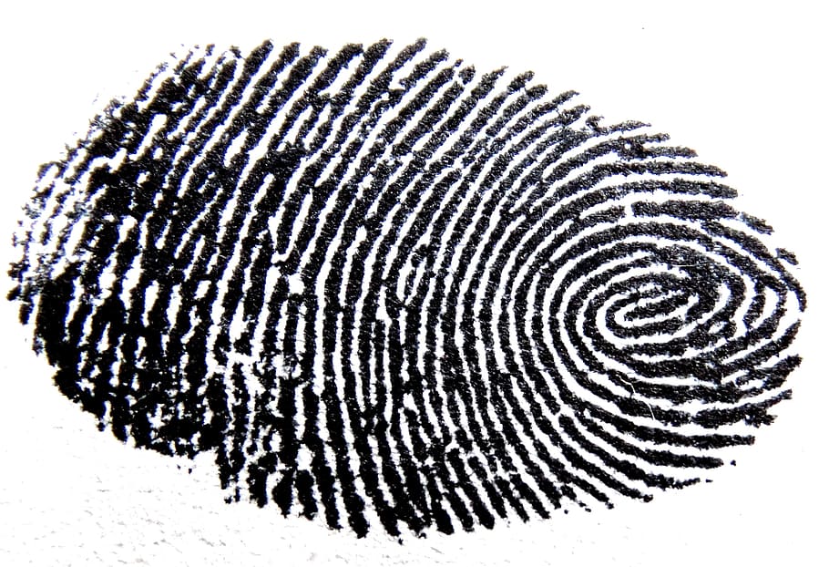 человек, отпечаток пальца отпечаток пальца, большой палец, отметка, отпечаток пальца, следы, шаблон, детектив, контрасты, палец